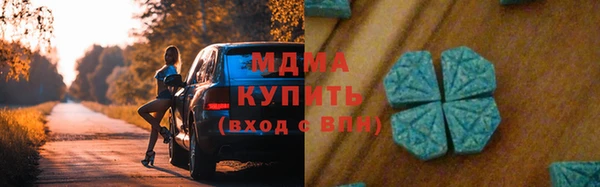 трава Ельня