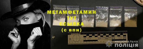 трава Ельня