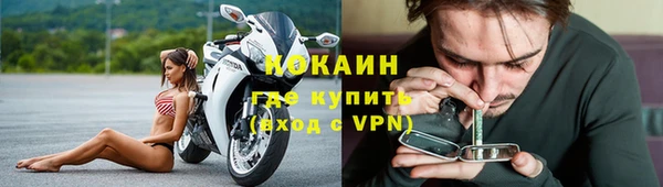 гидра Елабуга