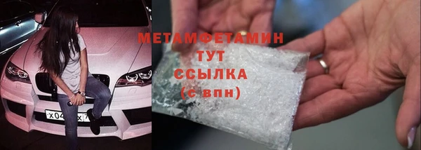 гидра Елабуга