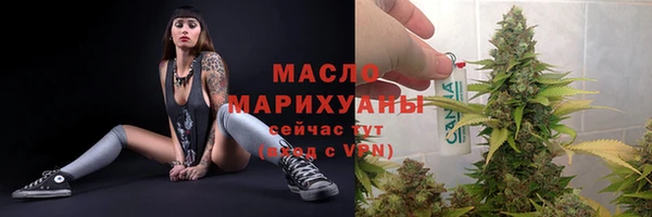 гидра Елабуга