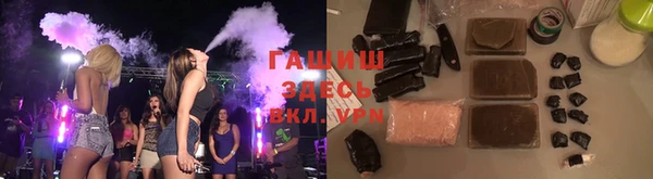 гидра Елабуга