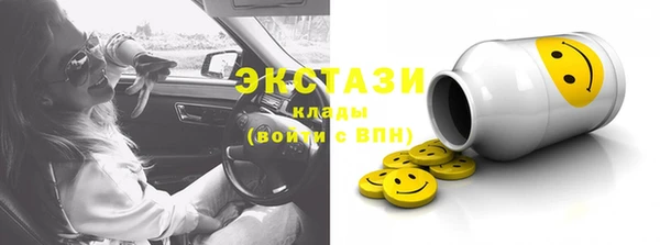 гидра Елабуга