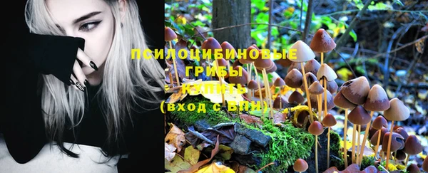 гидра Елабуга