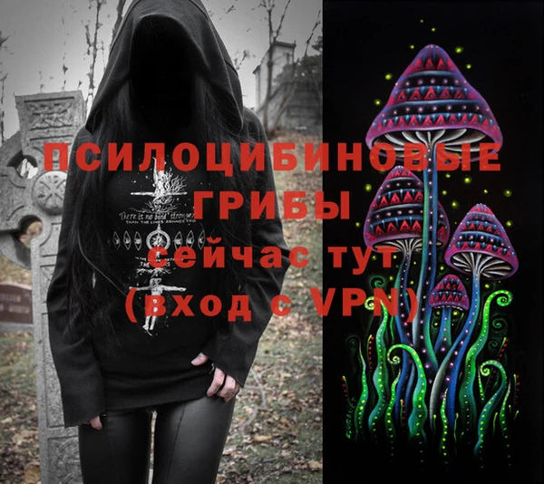 метадон Елизово