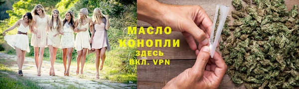гидра Елабуга