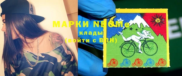 трава Ельня