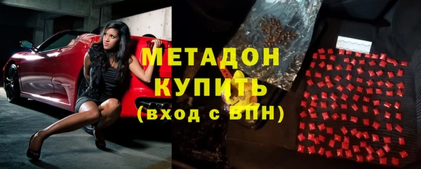 трава Ельня