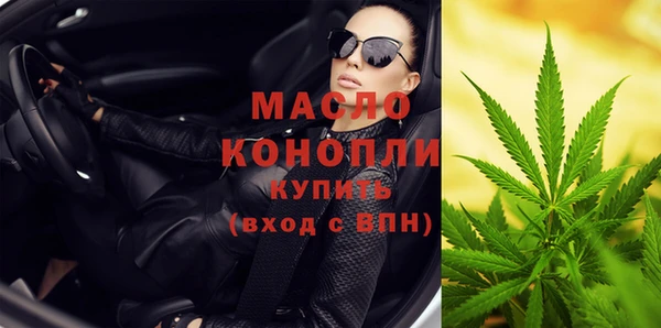 гидра Елабуга