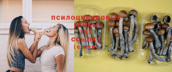 трава Ельня