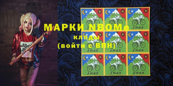 гидра Елабуга