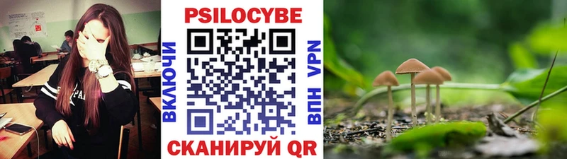 Псилоцибиновые грибы ЛСД  Купить где  Вичуга 